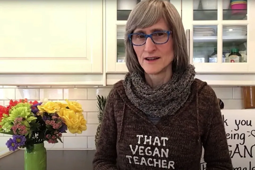 The Rise and Fall of That Vegan Teacher